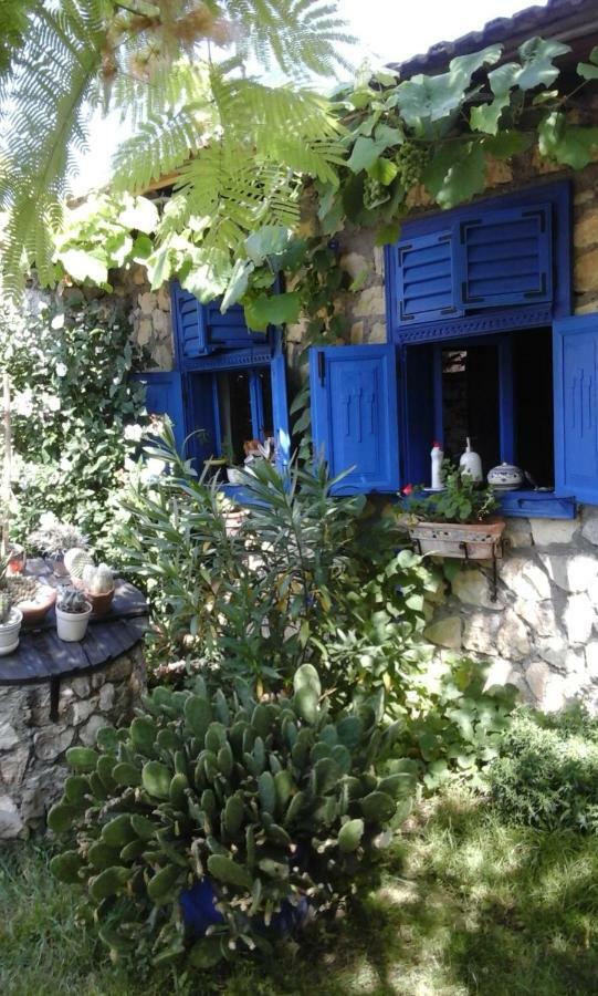 Casa Anca Cheile Nerei Villa Socolari Exterior photo